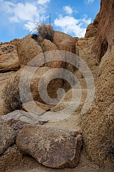 Mastodon Peak Loop Trail in Joshua Tree National Park