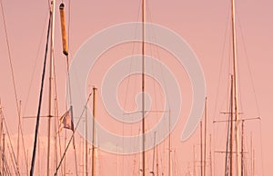 Masts in marina photo