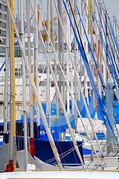 Masts of Sailboats