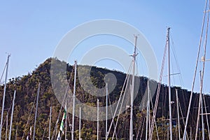 Masts Of Yachts In A Marina Against A Mountain Background