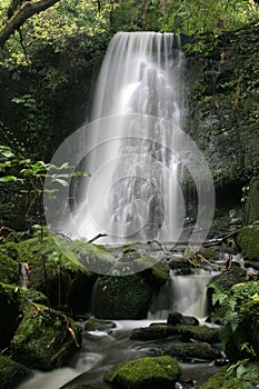 Matai falls 11