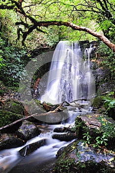 Matai falls