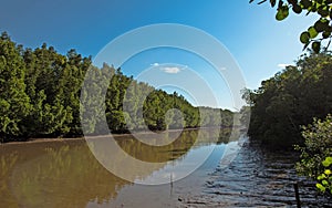 Matang Mangrove Forest Reserve