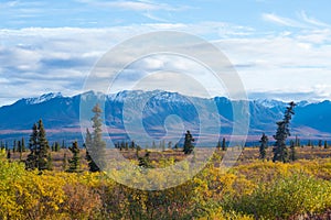 Matanuska Glacier