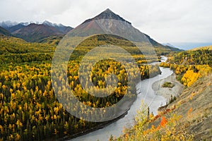 Matanuska River Flows utumn Season Fall Color Alaska photo