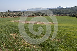 Matarranya, Teruel province. Spain