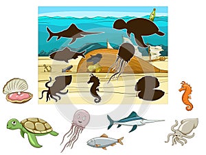 Match the animals and fish to their shadows