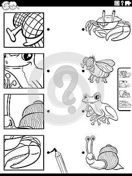 match cartoon animals and clippings game coloring page