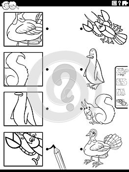 match cartoon animals and clippings game coloring page