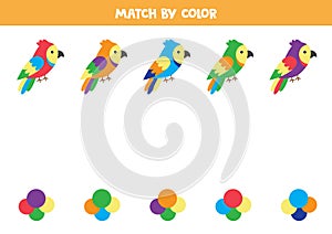Match cartoon parrots by color