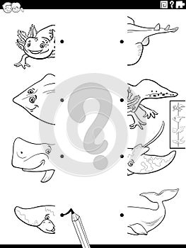 match halves of marine animals pictures activity coloring page