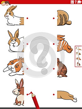 match halves of pictures with rabbits educational game