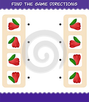 Match the same directions of rose apple. Matching game. Educational game for pre shool years kids and toddlers