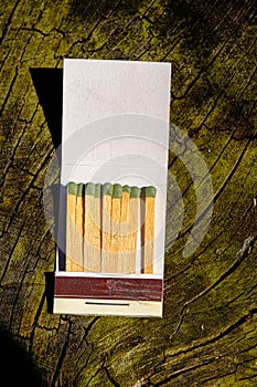 Match sticks on a tree with lichens