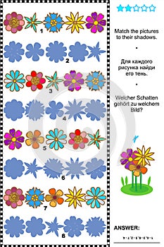 Match to shadow flowerheads rows visual puzzle photo