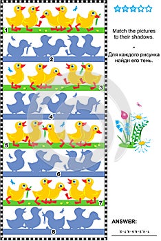 Match to shadow visual puzzle - ducklings