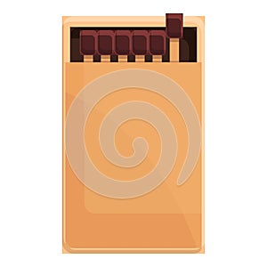 Matches box icon, cartoon style