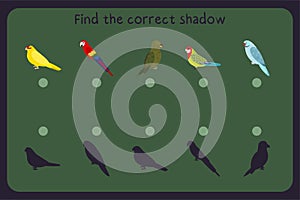 Matching children educational game with parrots - kakariki, macaw, kea, rosella, rose ringed. Find the correct shadow.