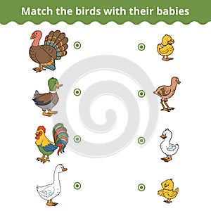Matching game for children, farm birds and babies