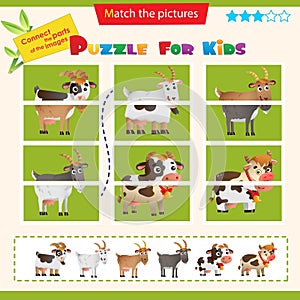 Matching game for children. Puzzle for kids. Match the right parts of the images. Farm animals. Goat cow, sheep