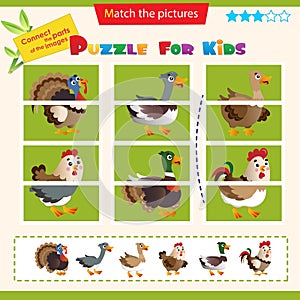 Matching game for children. Puzzle for kids. Match the right parts of the images. Farm animals. Poultry. Turkey, goose, duck,
