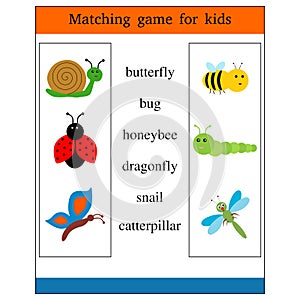 Matching game for kids vector illustration