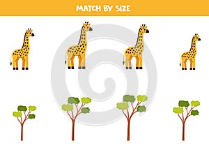 Matching game for preschool kids. Match cute giraffes and acacia trees by size