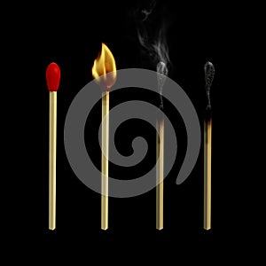 Matchstick Lifecycle photo