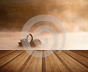 Mated pair of swans on misy foggy ASutumn Fall lake touching scene with wooden planks floor