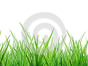 Material of grass