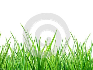 Material of grass