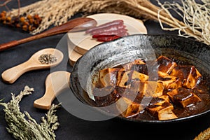 Material of traditional chinese food,spicy Mapo Tofu decorates with chilis and hot peppers on black background