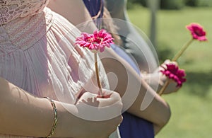 Maternity concept. Portrait of three happy pregnant women.