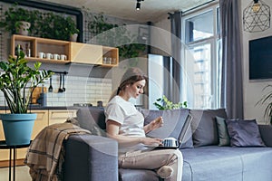 Maternity leave. Work. Pregnant freelancer woman sitting at home on sofa with laptop in home clothes. Works on the computer