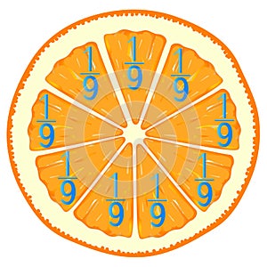 Mathematical games for children. Study the fractions numbers, example with orange.