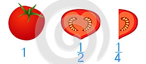 Mathematical games for children. Study the fractions numbers, example with tomatoes.