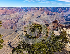Mather Point With O\'Neill Butte in The Distance