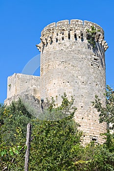 Matilde of Canossa tower. Tarquinia. Lazio. Italy. photo