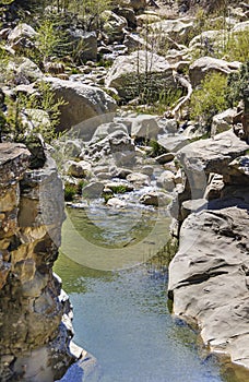 Matilija Creek closeup in Los Padres National Forest, CA, USA