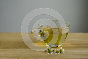 Matricaria chamomilla flowers and trasparent cup of tea on wooden table, fresh flowering herbal medicine