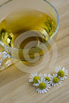 Matricaria chamomilla flowers and trasparent cup of tea on wooden table, fresh flowering herbal medicine