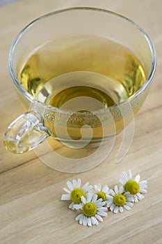 Matricaria chamomilla flowers and trasparent cup of tea on wooden table, fresh flowering herbal medicine