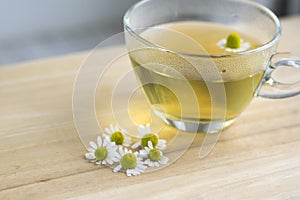 Matricaria chamomilla flowers and trasparent cup of tea on wooden table, fresh flowering herbal medicine