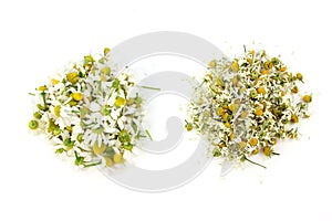 Matricaria chamomilla, medical chamomile dried