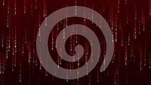 Matrix digital binary code moving down. High-tech digital binary code in matrix style. Digital rain of bright red