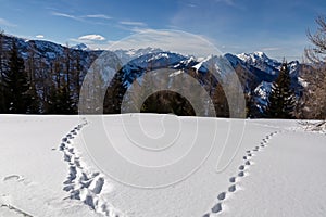 Matschacher Gupf - Foot prints in the snow on mountain summit of in Karawanks, Carinthia, Austria.