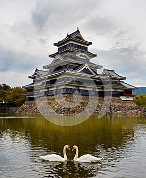 Matsumoto castle in autumn with two swans