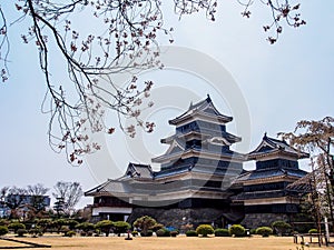 Matsumoto castle with sakura blossom , Matsumoto, Japan 4