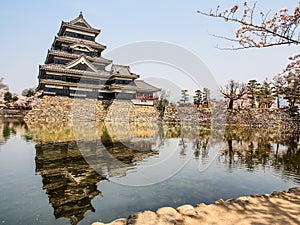 Matsumoto castle with sakura blossom , Matsumoto, Japan 7