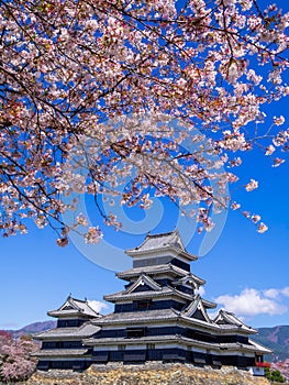 Matsumoto castle in spring season, Nagano, Japan